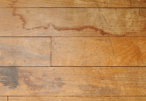 chọn sàn gỗ phù hợp trong tháng mưa ngâu